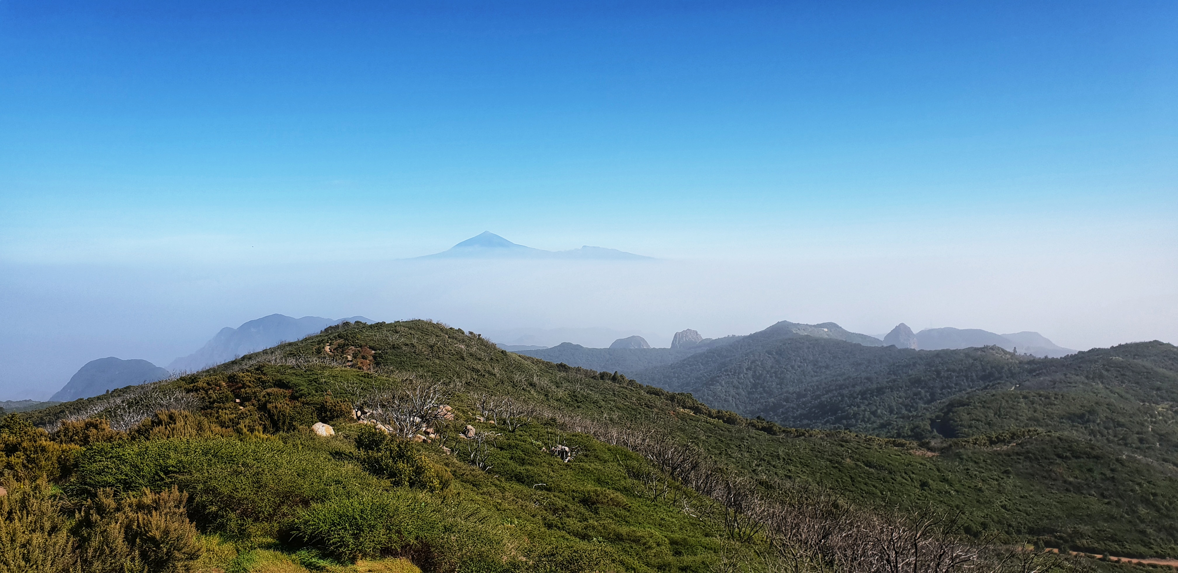 View of Garajonay national park and Teide in La Gomera.