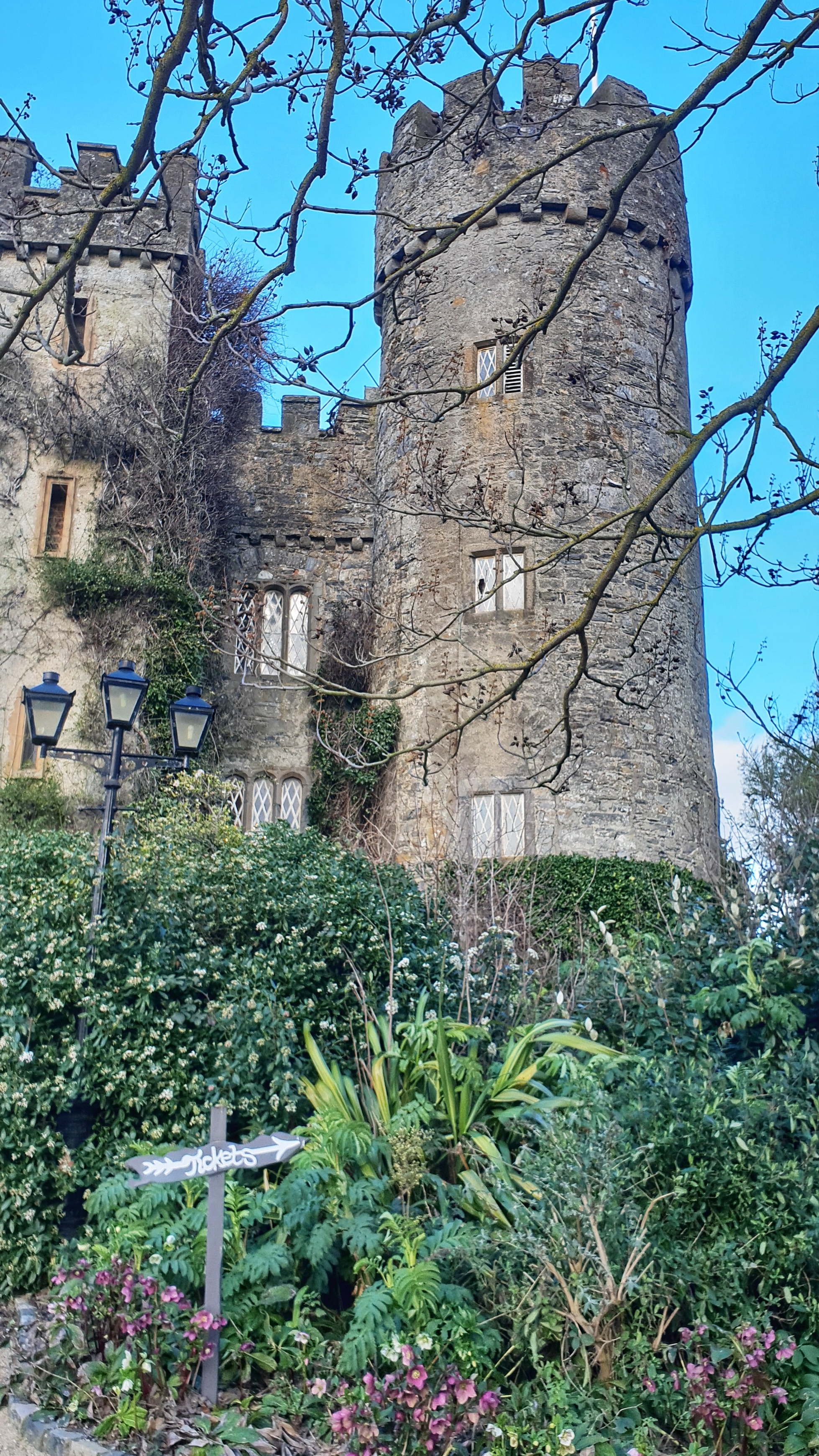 Malahide Castle towers with green bushes in front