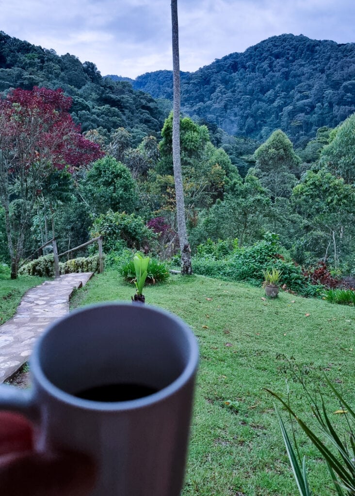 A cup of coffee held up in front of the Gorilla Valley Lodge garden and Bwindi rain forest.