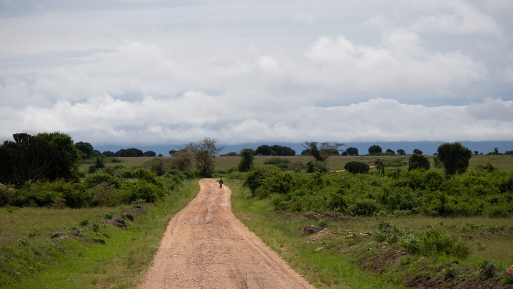 A red dirt road winding its way through the planes of Queen Elizabeth National Park. One person cycling.