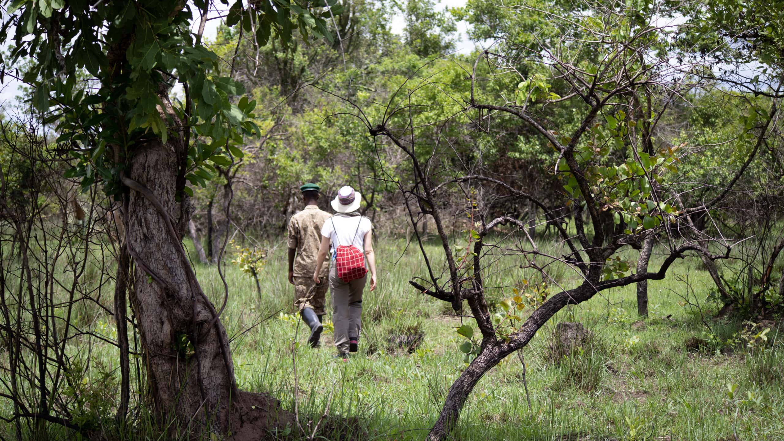 A woman wearing a hat, red bag and outdoor clothes walking behind a wildlife guide in a forest at Ziwa Rhino Sanctuary in Uganda