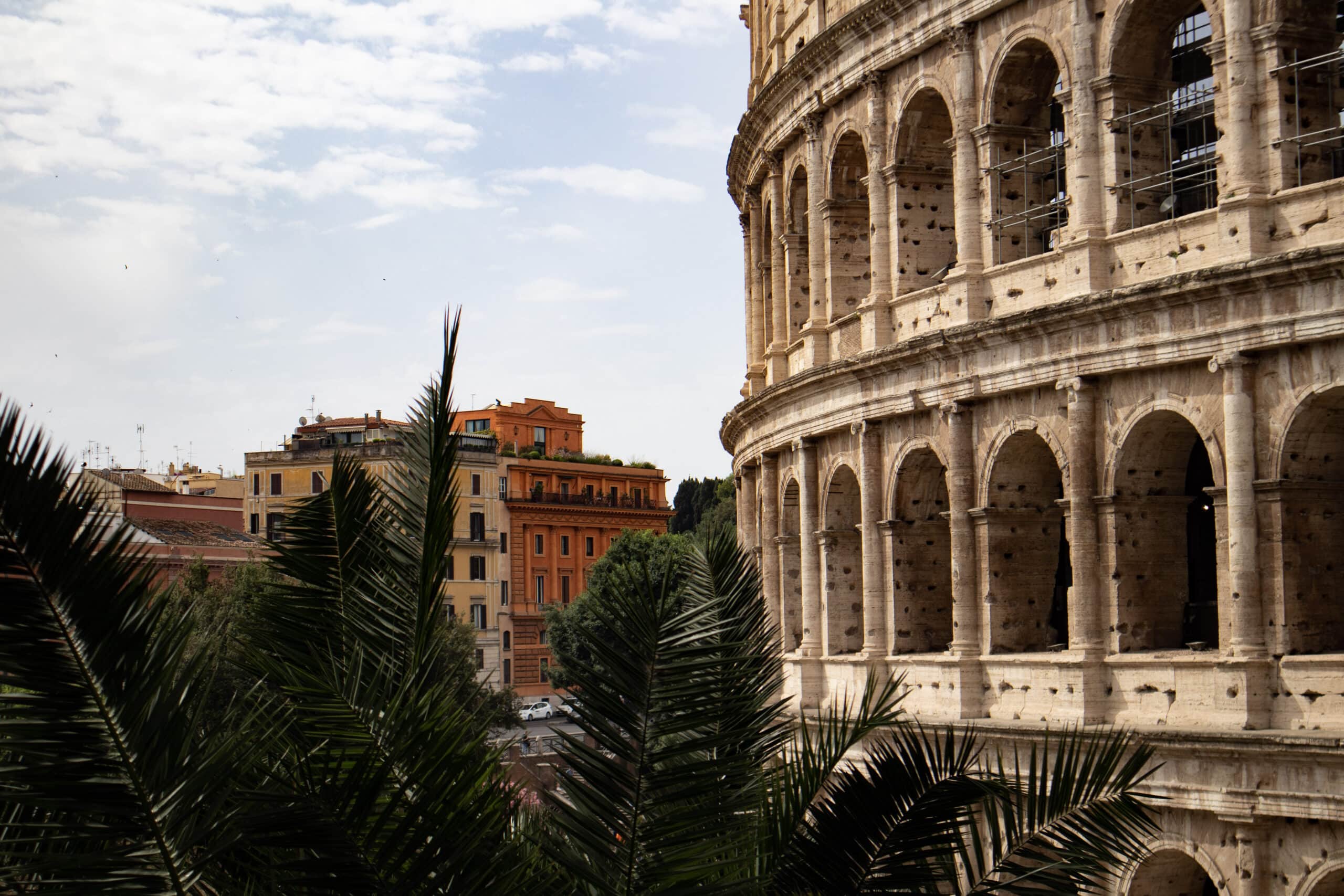 The Colosseum next to palm tree and an yellow and an orange building.