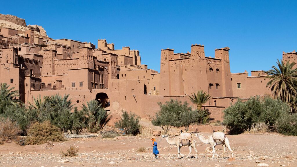 A man in blue and yellow clothing followed by two dromedars in front of Ait-Ben-Haddou. Seen during one week in Morocco.