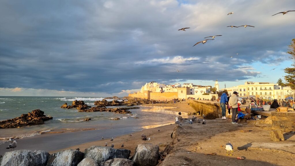 View of Essaouira and the Atlantic ocean. Seagulls standing on rocks and flying above, a few men selling fish on a brick wall.