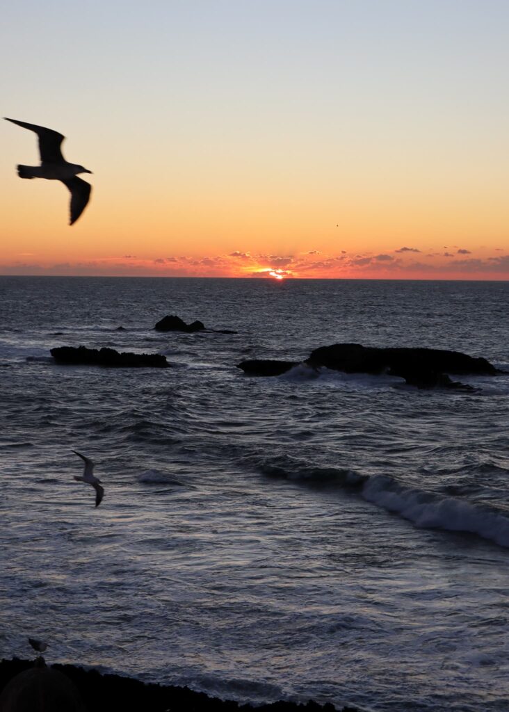 Sunset in the Atlantic seen from Salut Maroc. Orange, pink, yellow, and purple colours in the horizon, seagulls flying in the front.