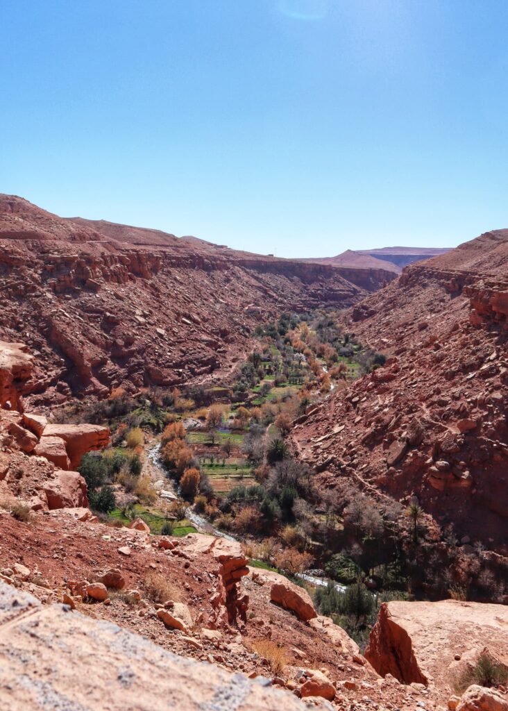 View of a green oasis by the river in the Ounila Valley in Morocco, surrounded by a steep, red-coloured gorge.
