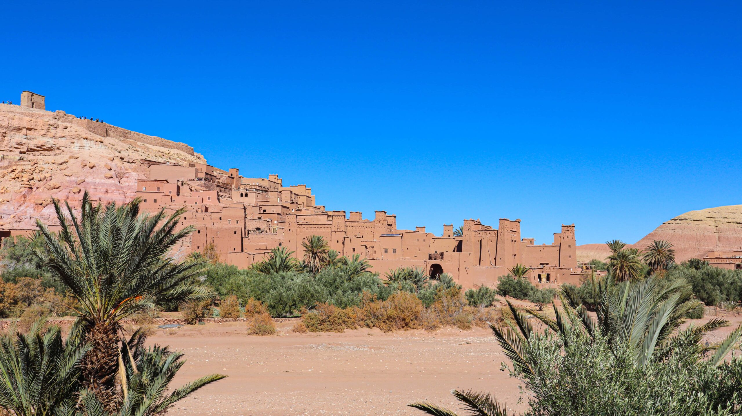 View of Ait Ben Haddou with palm trees in front and blue sky behind.