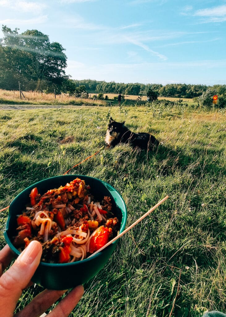 A hand holding a bowl of stew in front of a dog lying in the grass.