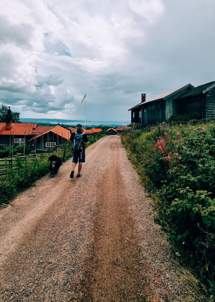 Man and a dog walking on a gravel road between old houses in Fryksås, Dalarna.