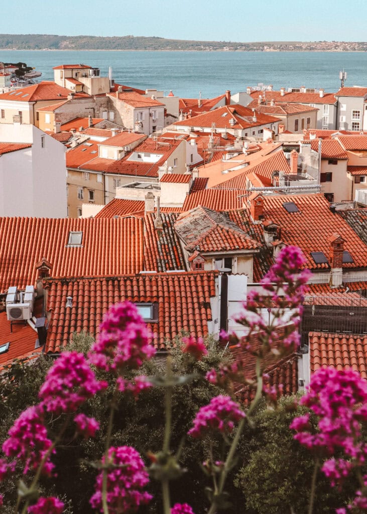Rooftop view of Piran towards the sea.