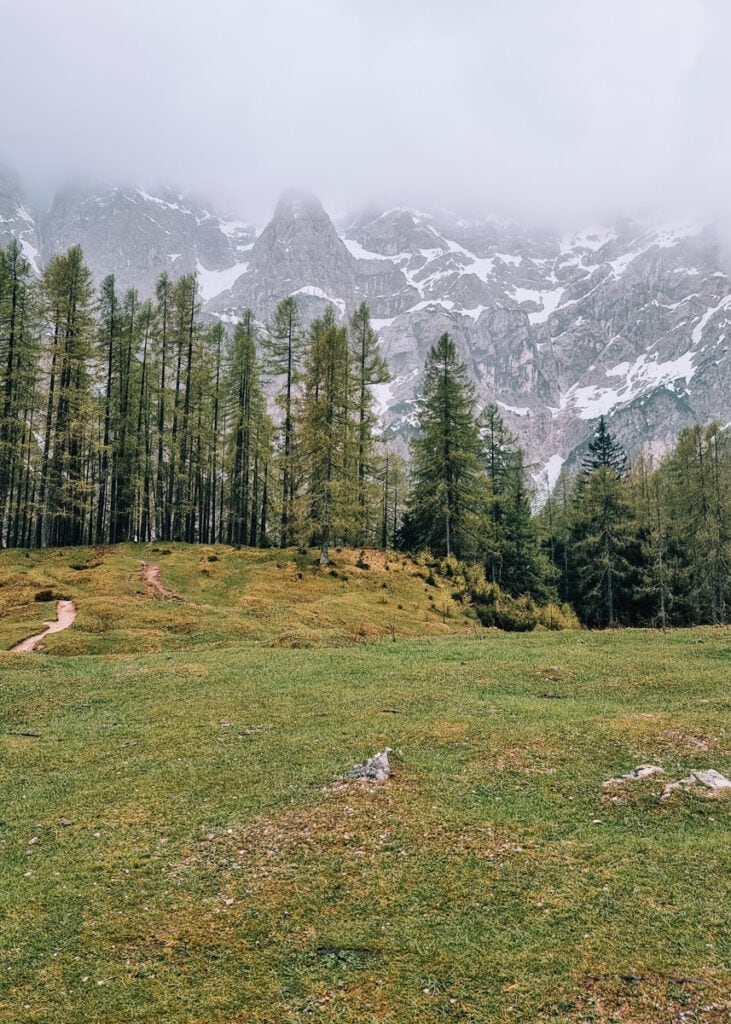 Foggy weather in the Julian Alps. Forest seen in front of rugged, grey mountains with patches of snow.