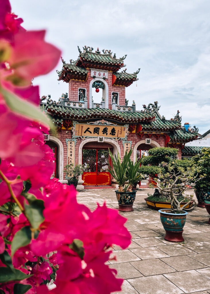 A pink temple in Hoi An seen behind bright pink Bougainvillea and a courtyard with green trees in ornamented pots.