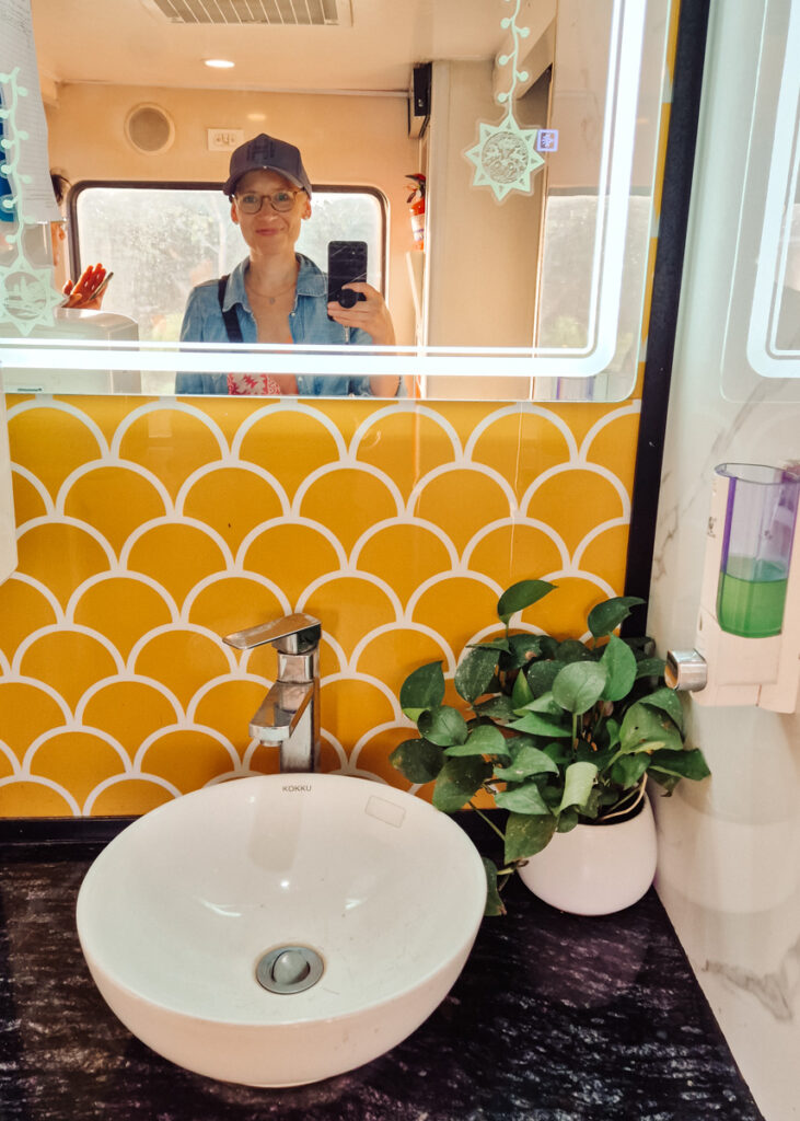 Me (Anne) taking a selfie in the mirror above the sink on the Lotus Train in Vietnam. Yellow and white wall behind the sink and mirror, a green plant next to it.