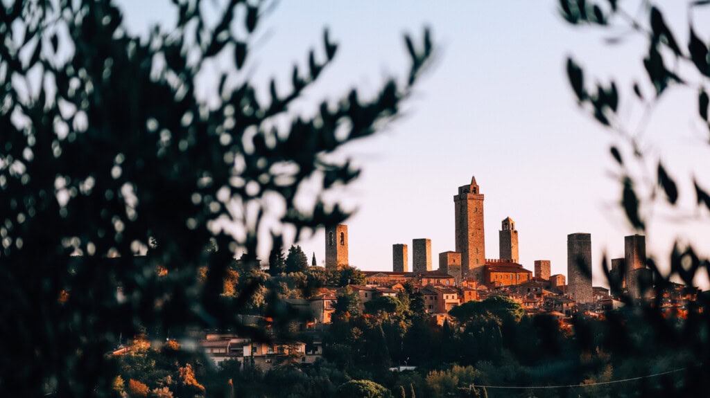 View towards the towers of San Gimignano at sunrise, framed by olive branches.