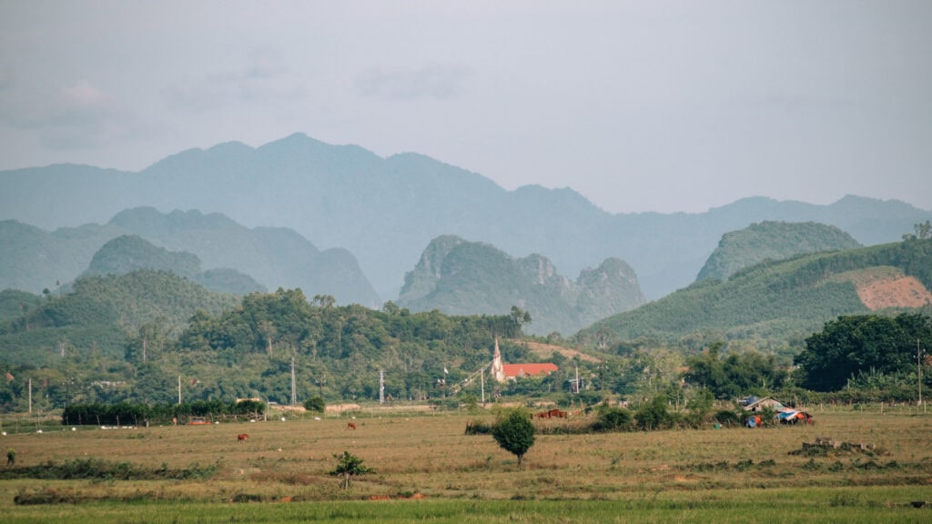 Landscape view in Phong Nha. Cows grazing and a church in front of forest-clad mountains.