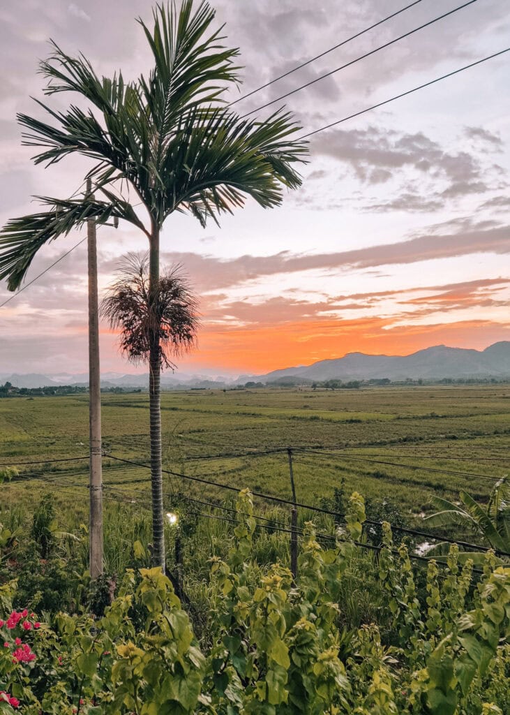 A colourful sunset seen from Phong Nha Farmstay with a tall palm tree in front.