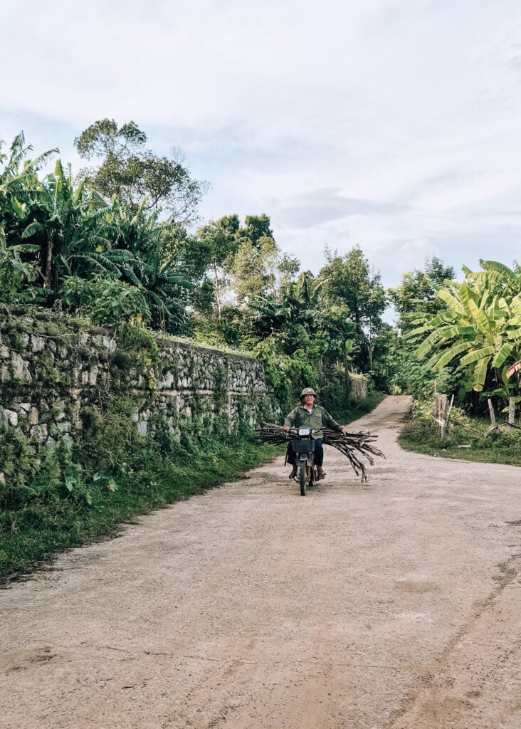 A man driving sugar cane on a motorbike.