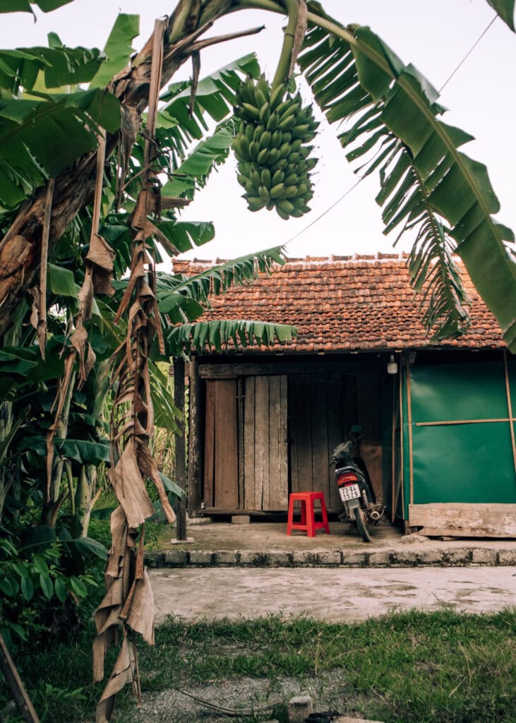 A motorbike parked next to a red stool by a small shed in Phong Nha, framed by a banana tree.