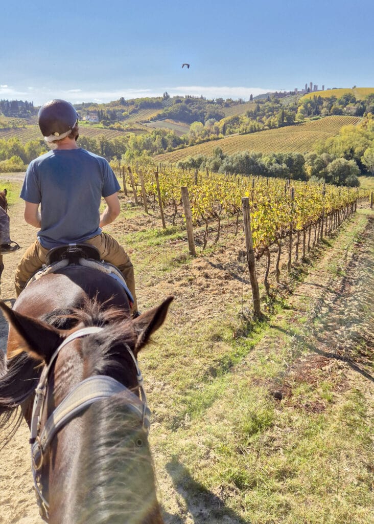 A man on a horse and the head and neck of another horse in front of rolling hills.