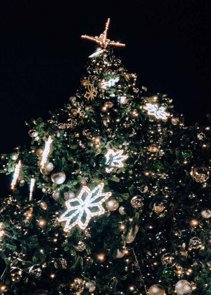 A decorated christmas tree.